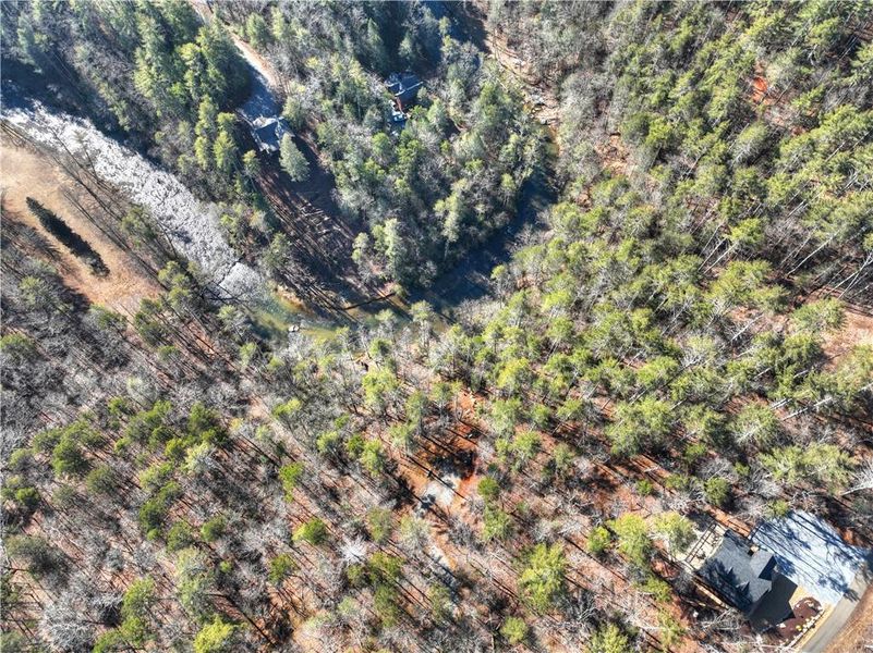 Natural landscape and outdoor views near  in Ellijay (Image 51).