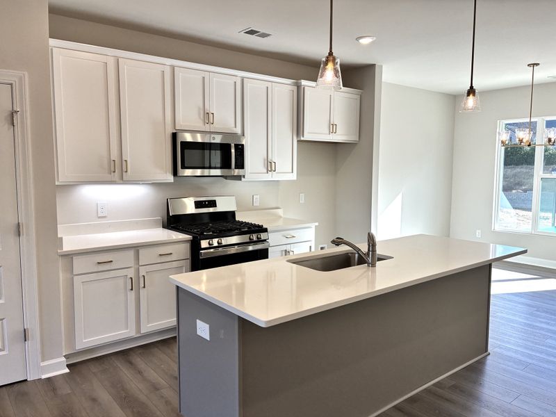 Furnished interior view inside a new home in Holly View, Greenville (Image 6).