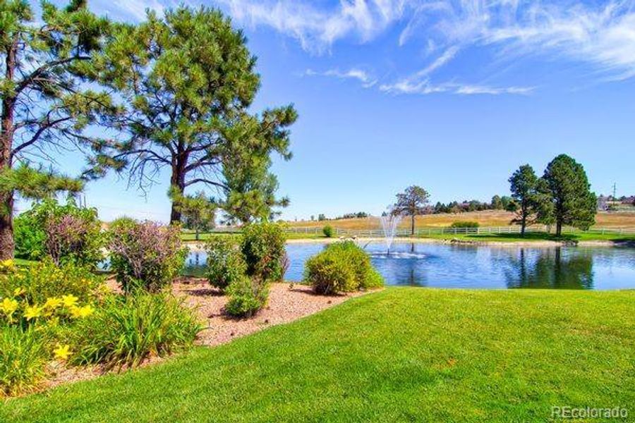 Natural landscape and outdoor views near  in Parker (Image 8).
