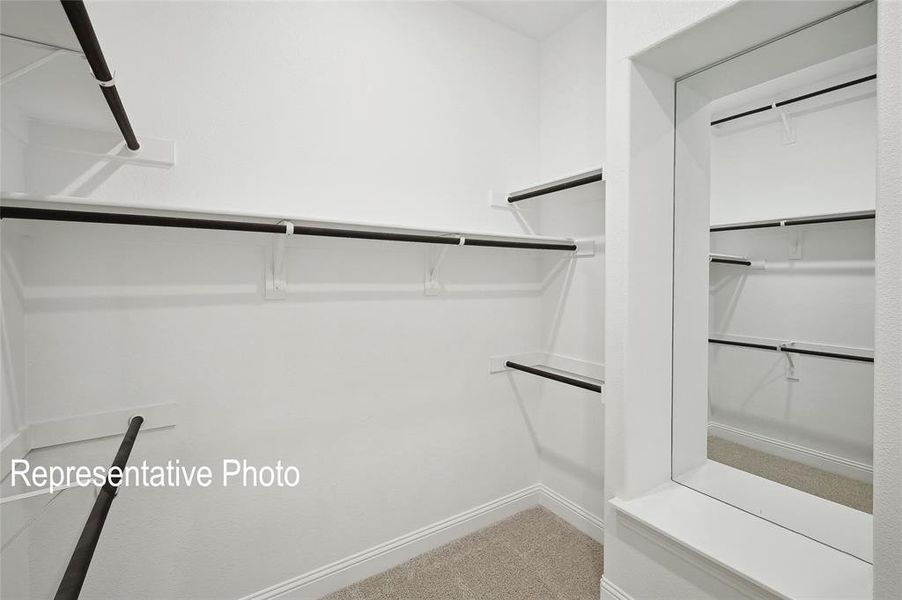 Spacious walk-in closet featuring multiple shelving units, built-in hanging rods, and neutral-toned carpeting