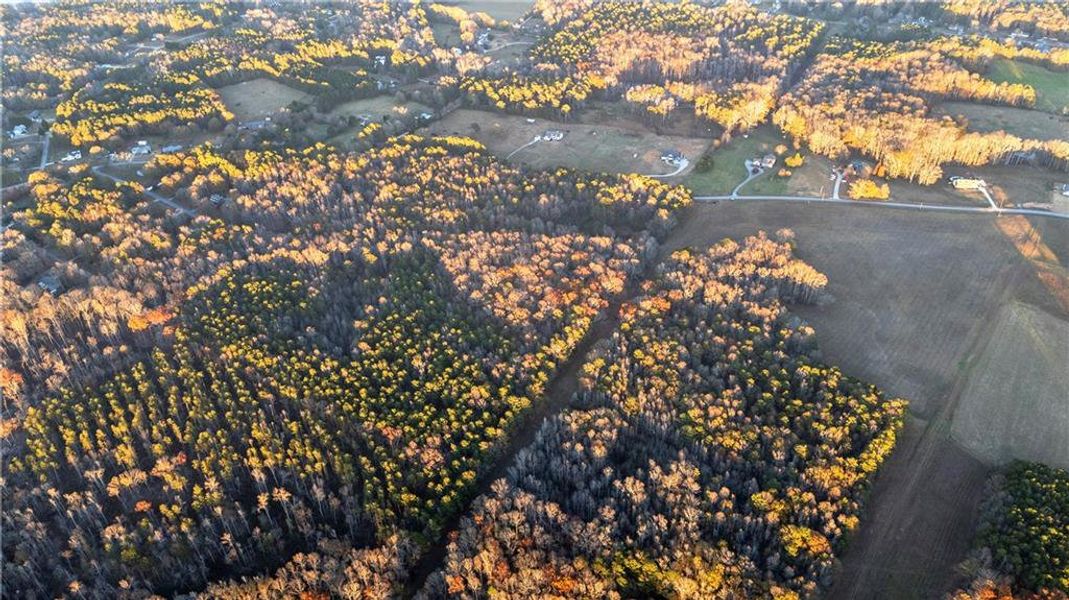 Natural landscape and outdoor views near  in Carrollton (Image 39).