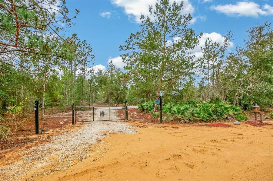 Natural landscape and outdoor views near  in Interlachen (Image 52).