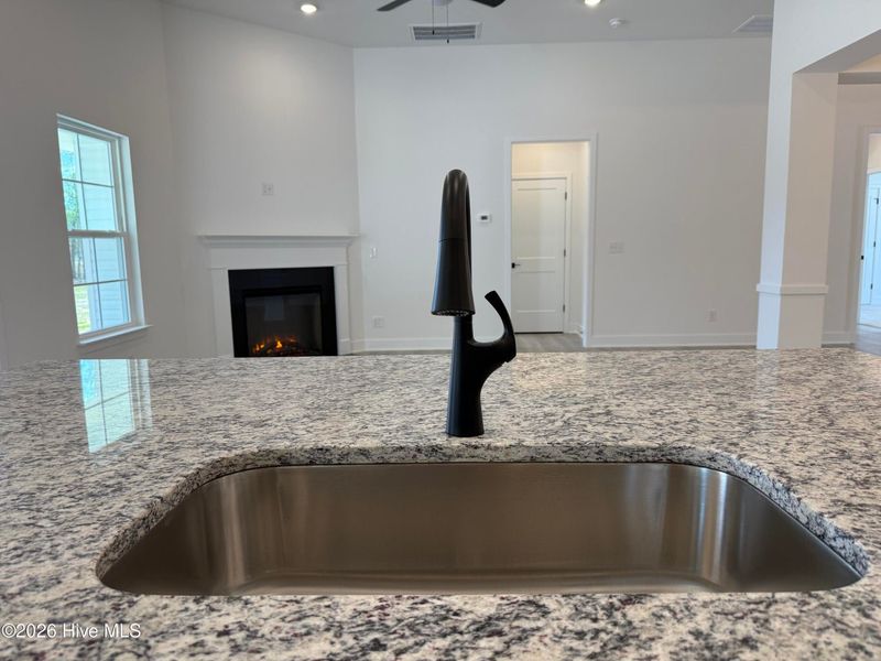 Close-up of interior finishes inside a home in East Lake, Leland (Image 16).