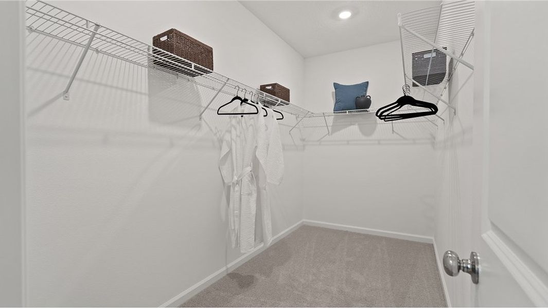 1835 Vivid Owners WIC F2 9 24 25 1835 Vivid Owners WIC F2 9 24 25