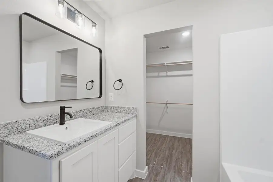 Bathroom with vanity, a walk in closet, and dark wood-type flooring