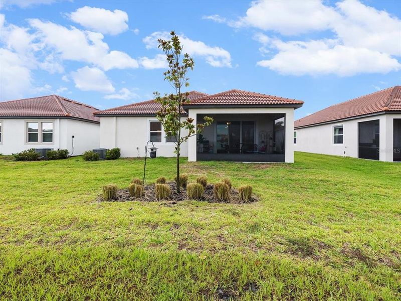 Exterior details and patio area of a home in Southshore Bay Active Adult, Wimauma (Image 28).