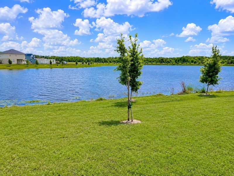Natural landscape and outdoor views near Harmony Central in St. Cloud (Image 14).