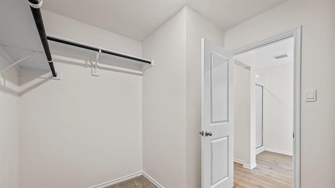 Recessed closet featuring carpet flooring, built-in shelving, and a hanging rod