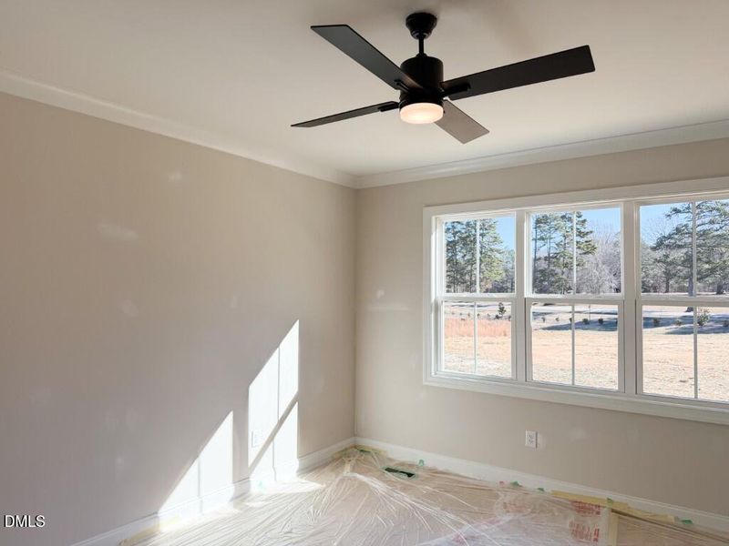 Photo Jan 16 2026, 11 48 56 AM (Medium)