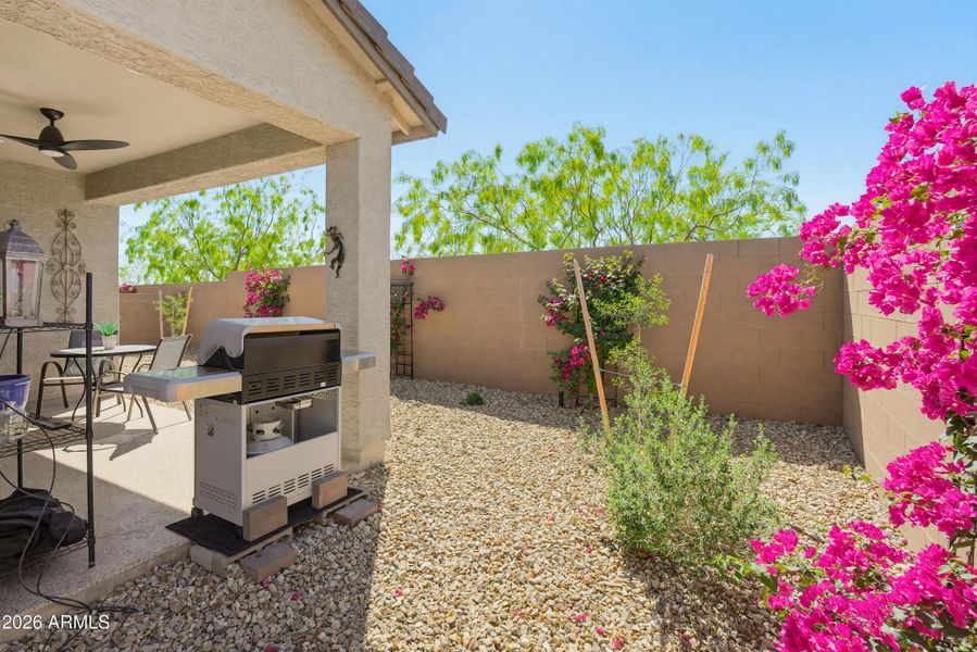 17281 W Via Lindo Ct (new)-4