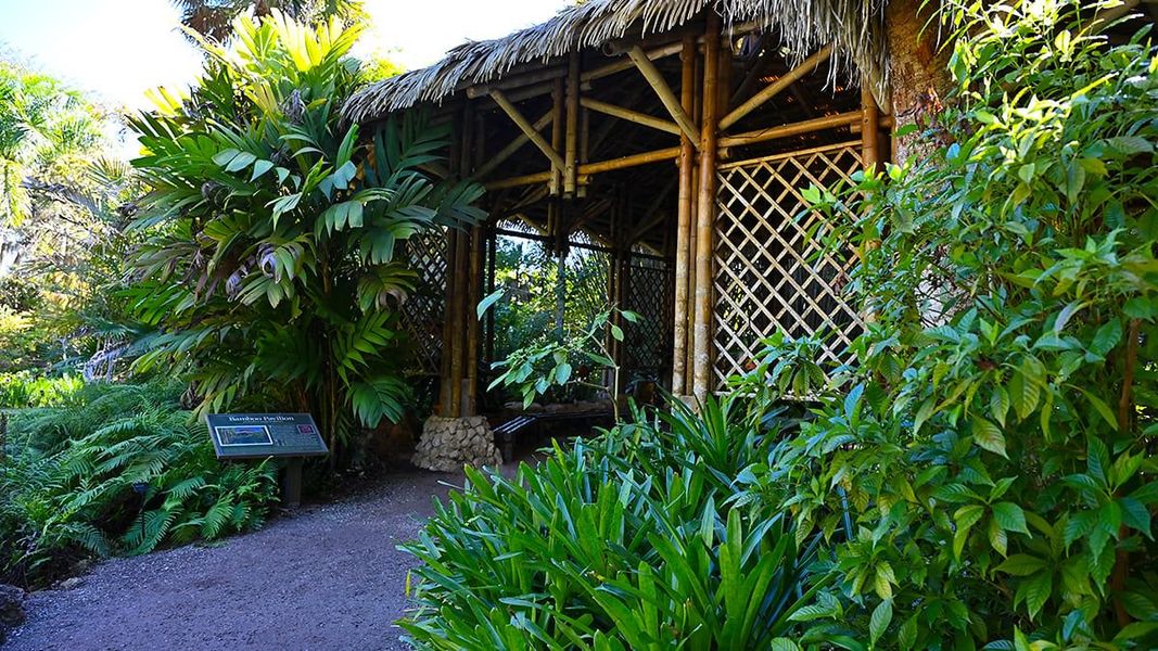 Image 115 of a home in Veranda Oaks.