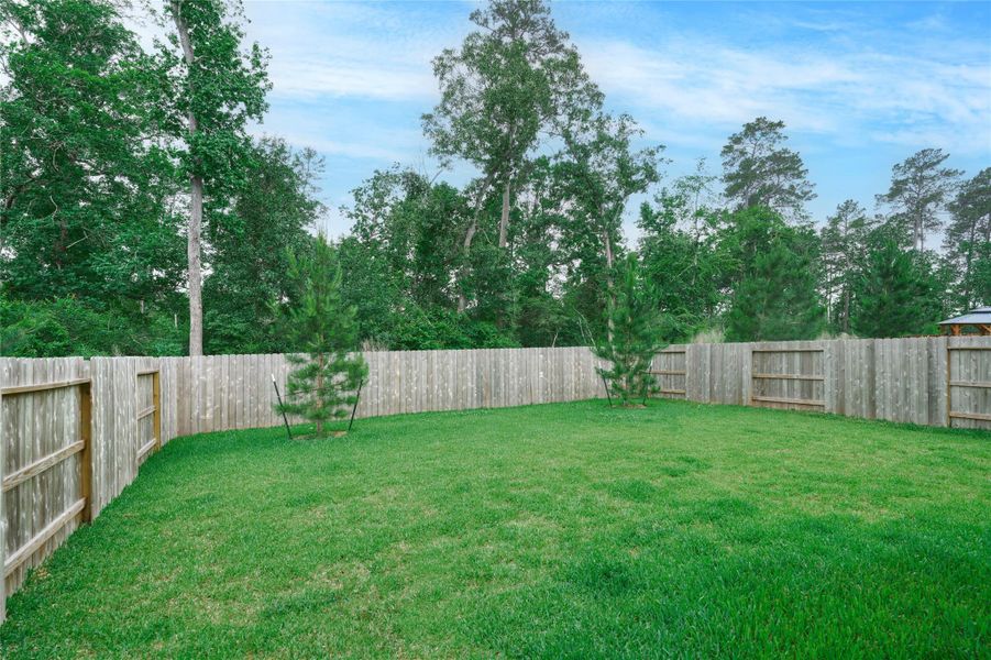 Exterior details and patio area of a home in The Pines At Seven Coves, Willis (Image 22).