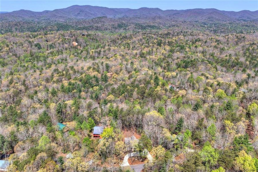 Natural landscape and outdoor views near  in Ellijay (Image 44).