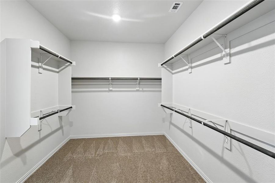 Spacious closet with light carpet