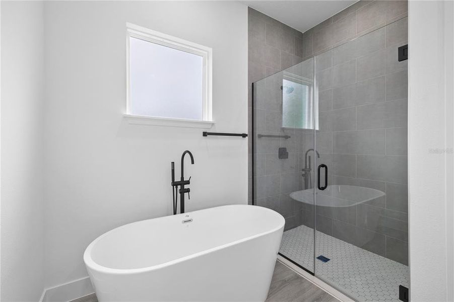 Furnished interior view inside a new home in , Ocala (Image 9).