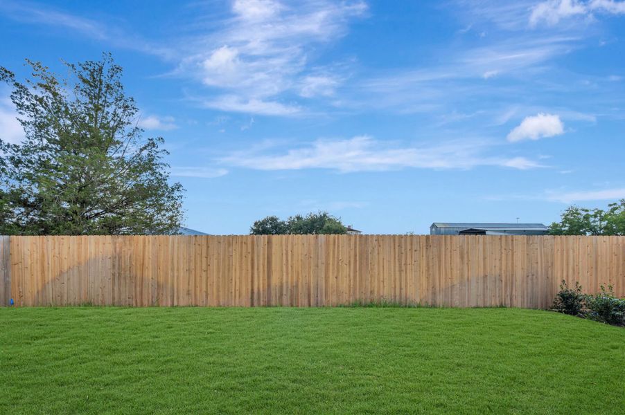 Backyard Backyard