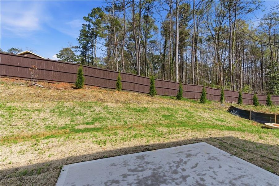 Exterior details and patio area of a home in The Overlook at Factory Shoals, Mableton (Image 26).