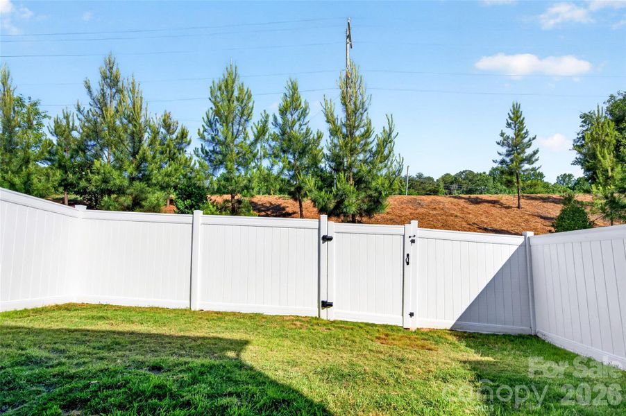 Low maintenance backyard.