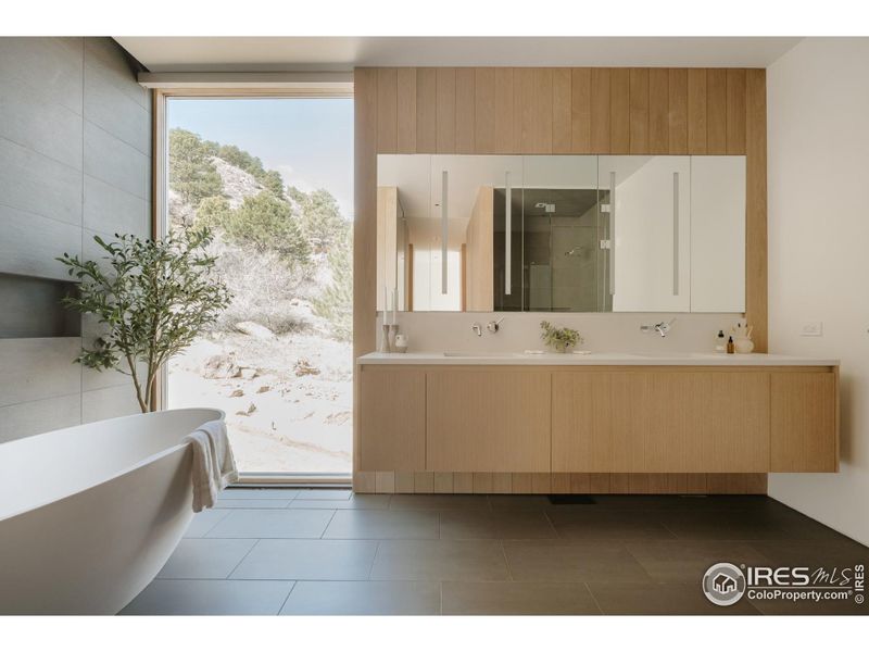 Primary bathroom w/ soaking tub and Dornbracht fixtures