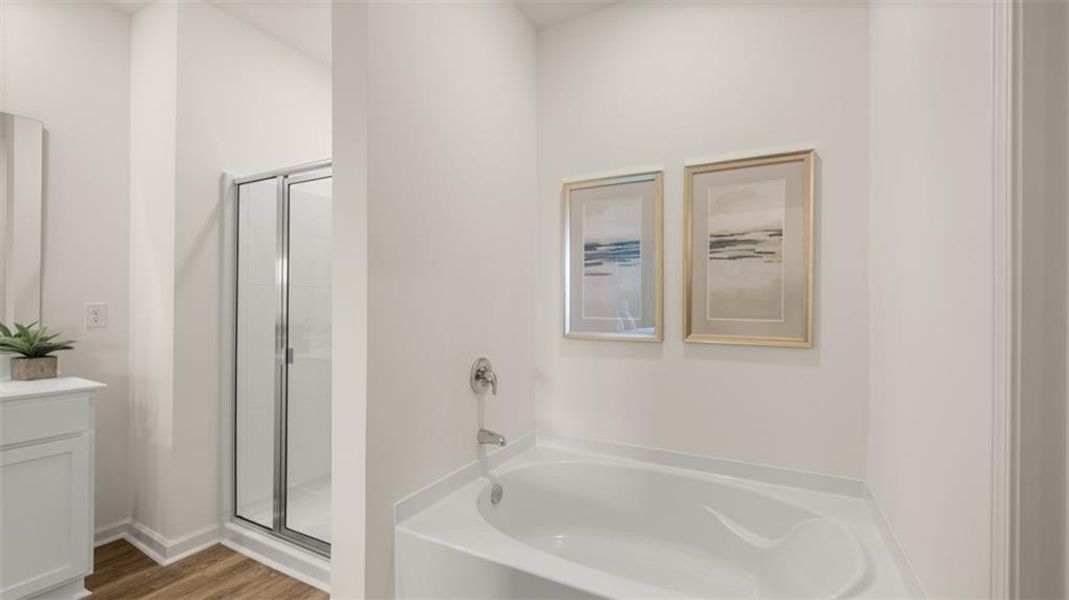 Furnished interior view inside a new home in The Preserve at Agricultural Village, Perry (Image 10). Furnished interior view inside a new home in The Preserve at Agricultural Village, Perry (Image 10).