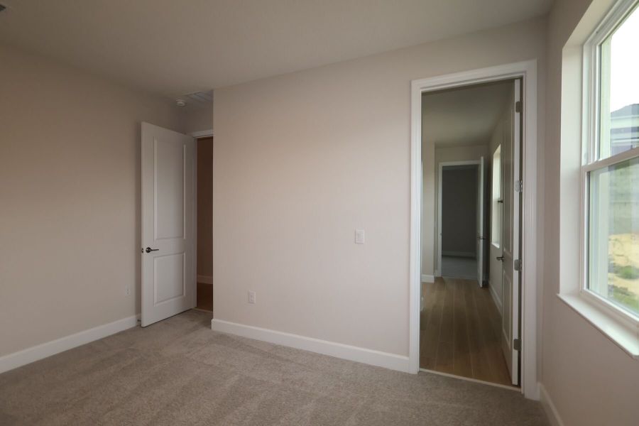 Bedroom Bedroom
