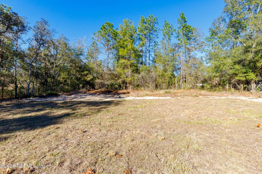 Natural landscape and outdoor views near  in Keystone Heights (Image 20).