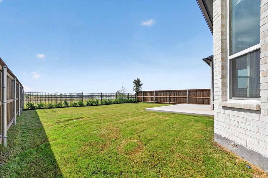 Backyard