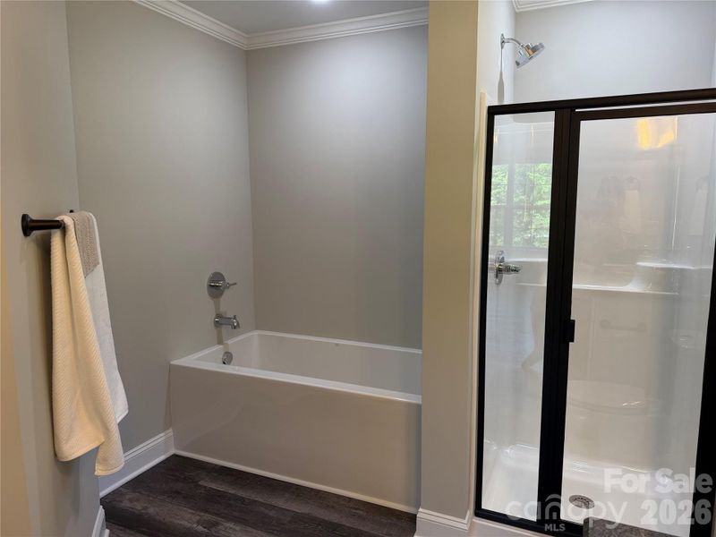 Primary bathroom