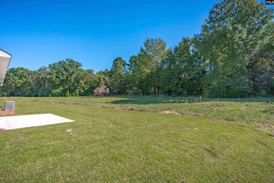 Natural landscape and outdoor views near Rolling Hills in Prosperity (Image 34).