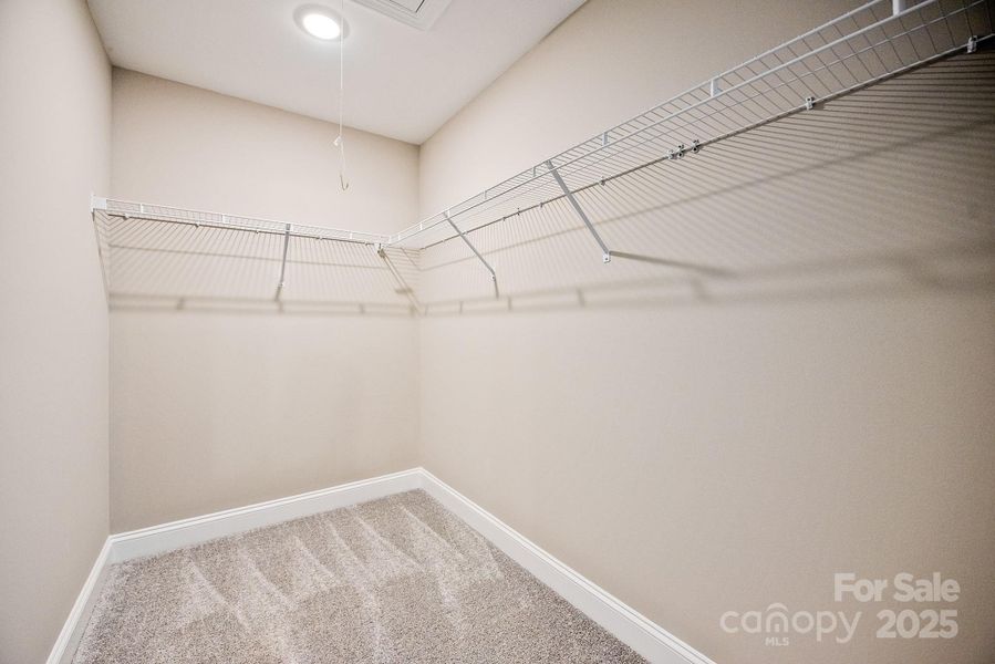 Spacious, unfurnished interior of a new home in , Albemarle (Image 22).