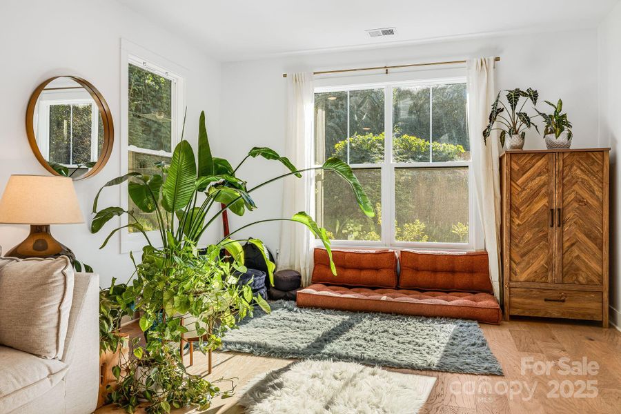 Oversized Windows Oversized Windows