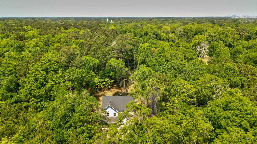 Natural landscape and outdoor views near  in Charleston (Image 47).