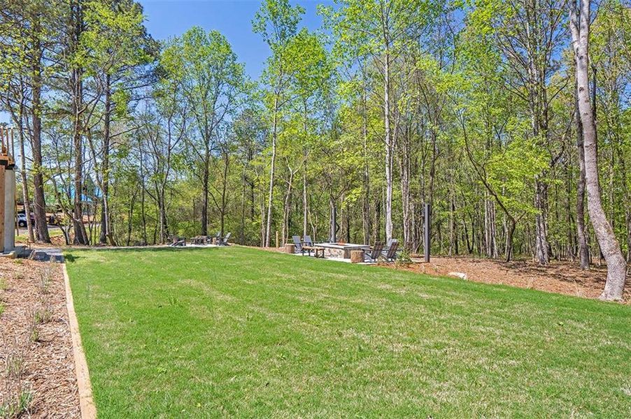 Natural landscape and outdoor views near Aster in Roswell (Image 29).
