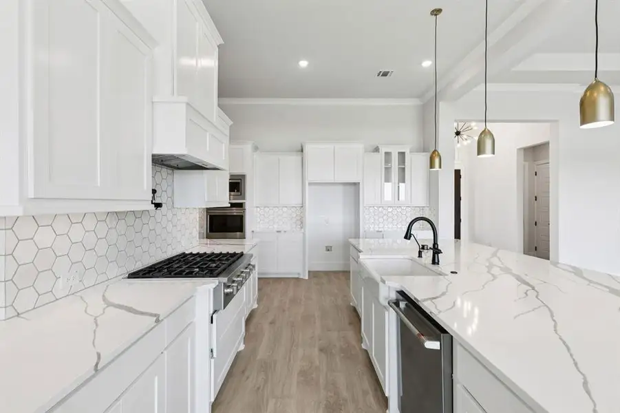 10-121Swan_010 10-121Swan_010