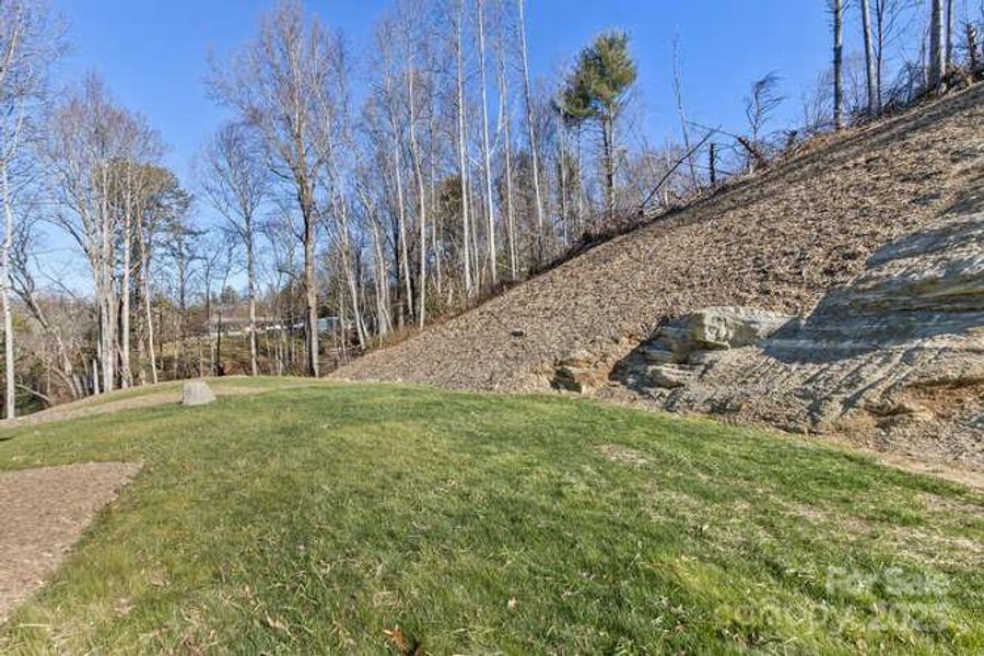 Natural landscape and outdoor views near  in Fletcher (Image 40).