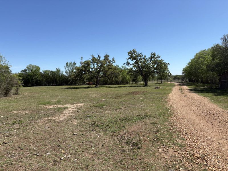 View of driveway looking towards Antioch Rd
