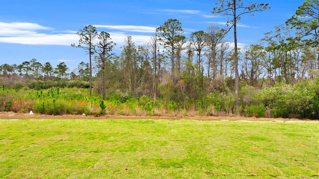 Natural landscape and outdoor views near Breakfast Point East Phase II in Panama City Beach (Image 34).
