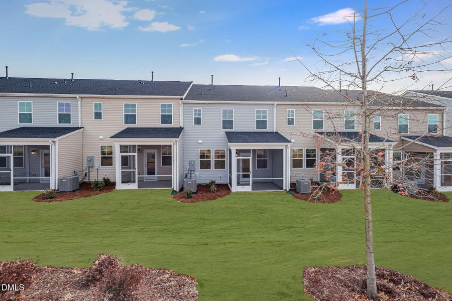 SUN_Everlee_Pic_CarsonII_QMI_237_Back_4o