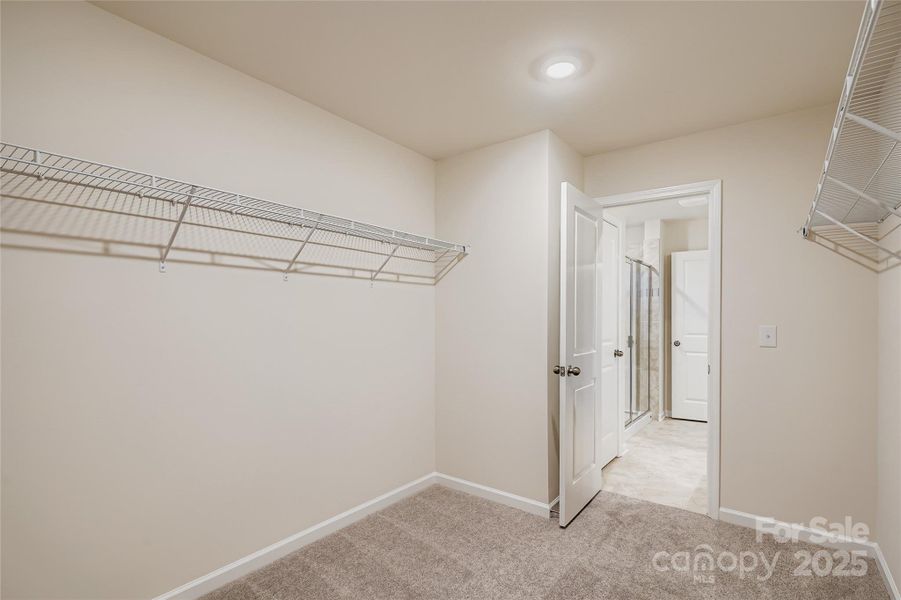 Spacious, unfurnished interior of a new home in Shannon Woods: Walk & Enclave, Maiden (Image 8).