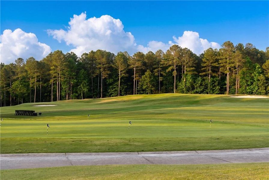 Natural landscape and outdoor views near in Dawsonville (Image 47). Natural landscape and outdoor views near in Dawsonville (Image 47).