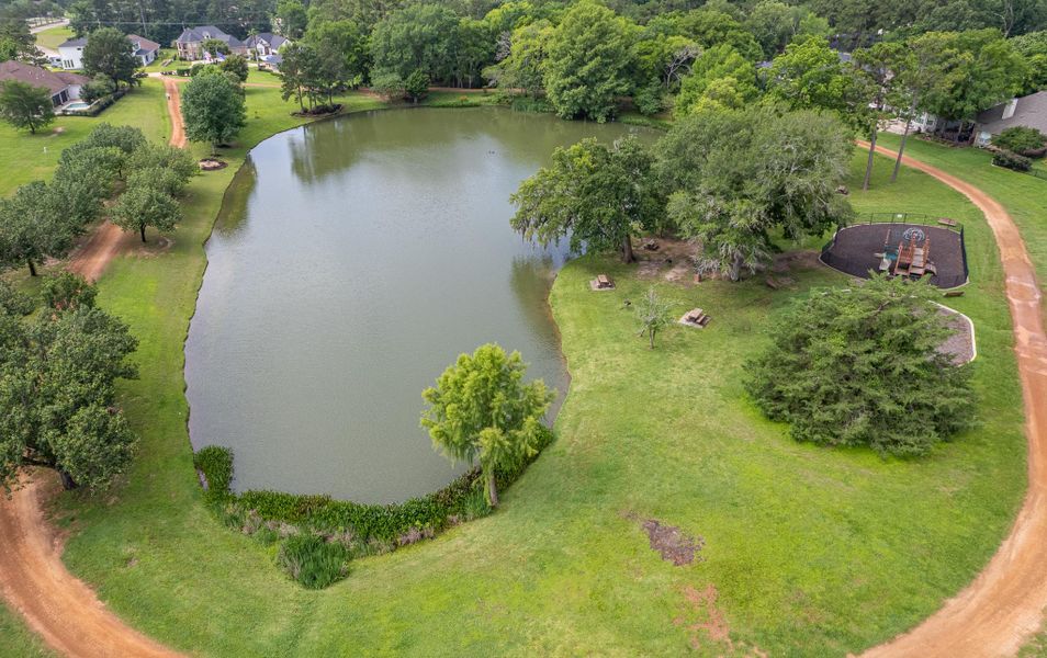 Natural landscape and outdoor views near in Montgomery (Image 42). Natural landscape and outdoor views near in Montgomery (Image 42).