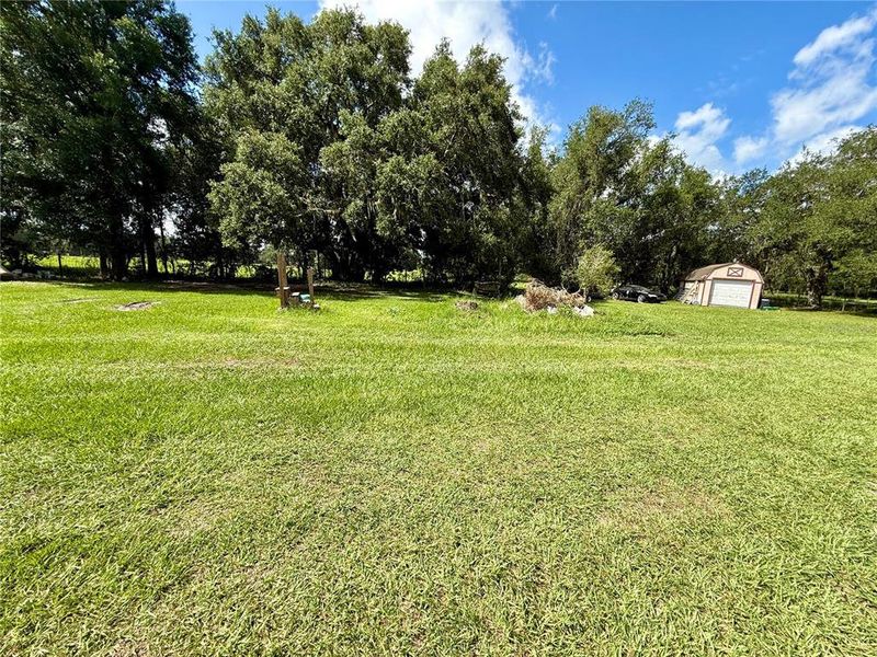 Natural landscape and outdoor views near in Bushnell (Image 49). Natural landscape and outdoor views near in Bushnell (Image 49).
