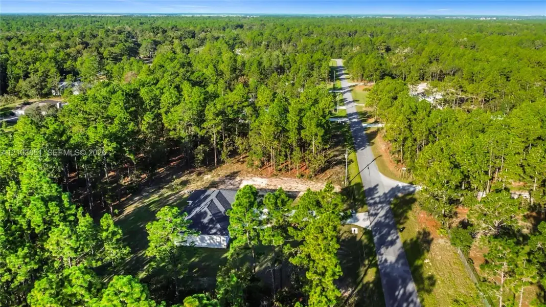 Aerial perspective of a property lot featuring mature pine trees and direct paved road access