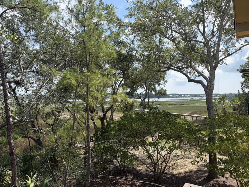Natural landscape and outdoor views near in Mount Pleasant (Image 20). Natural landscape and outdoor views near in Mount Pleasant (Image 20).