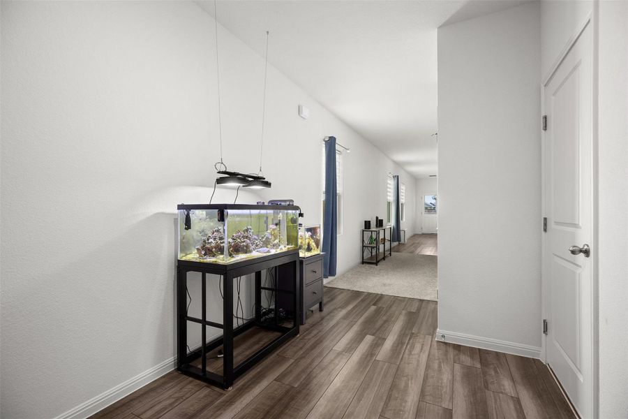 Hall with baseboards and dark wood finished floors Hall with baseboards and dark wood finished floors