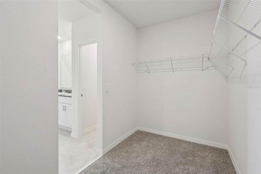 Spacious, unfurnished interior of a new home in Crosswinds - Signature Series, Haines City (Image 35).