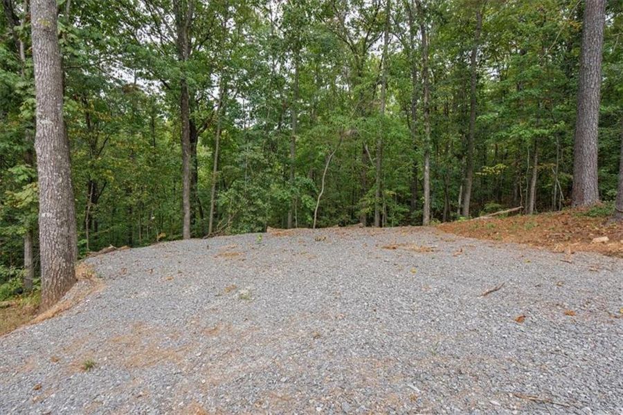 Natural landscape and outdoor views near  in Ball Ground (Image 51).