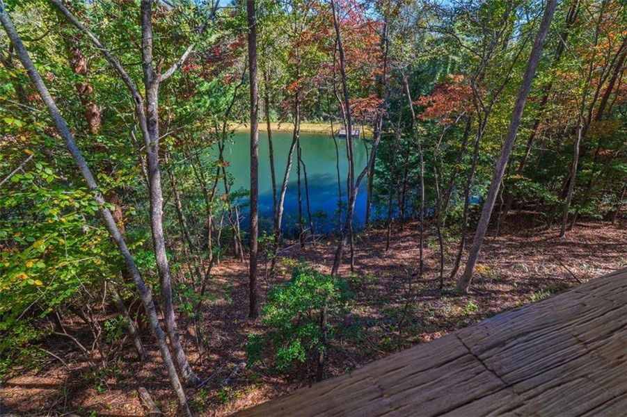 Natural landscape and outdoor views near  in Cherry Log (Image 22).