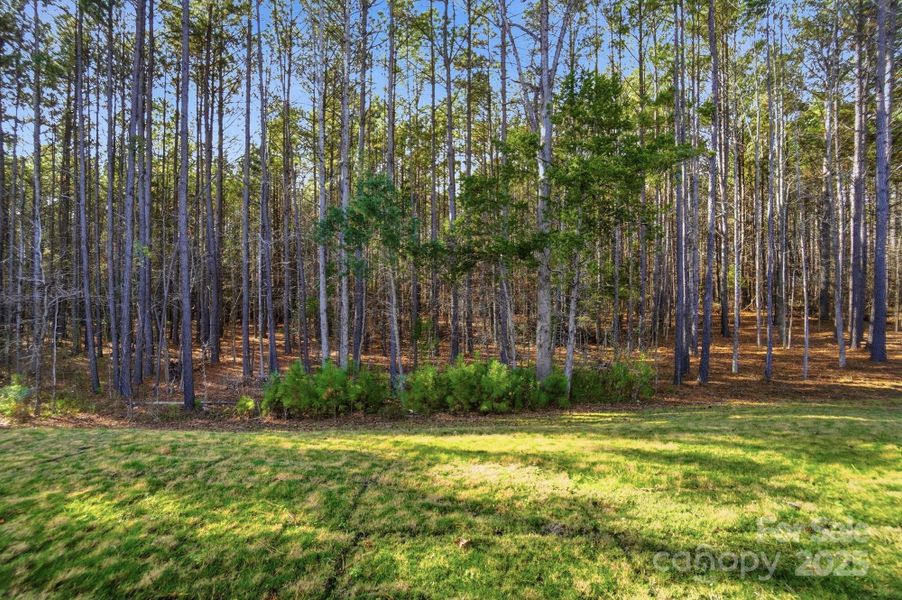 Natural landscape and outdoor views near Rone Creek in Waxhaw (Image 47).