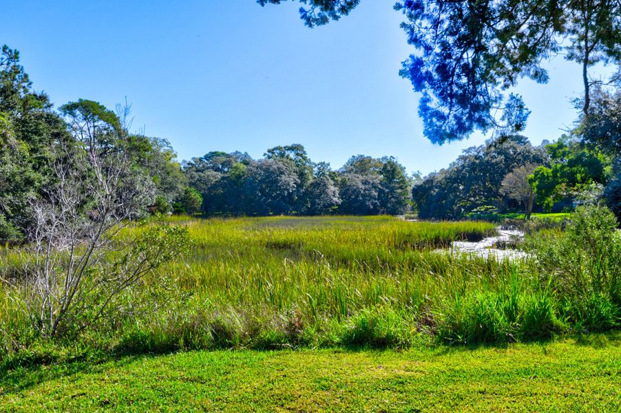Natural landscape and outdoor views near  in Charleston (Image 47).
